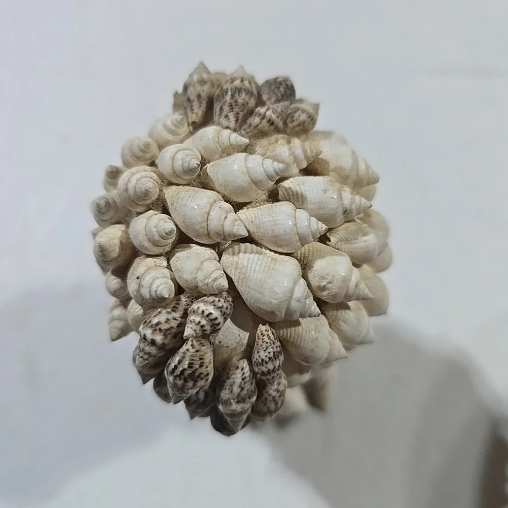 Sea Shell Dog‎ Figure ~ 3.25